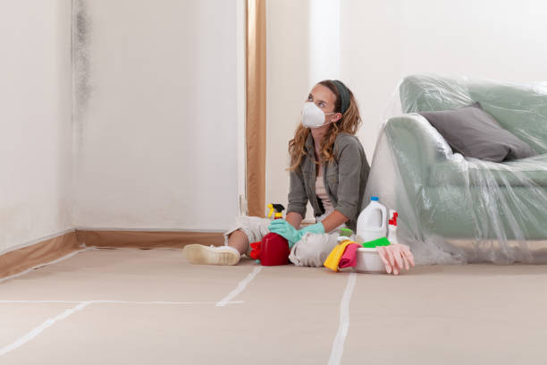 Reliable Mold Remediation contractor in Conklin, MI by WQB Mold Removal